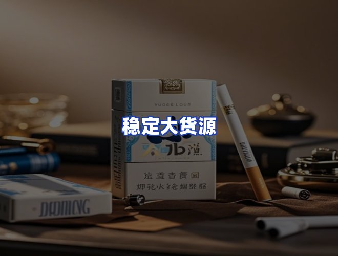 专业团队